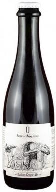 Ca' del Brado - U Baccabianca Italian Grape Ale w/ Pignoletto Grapes 2022 (375ml) (375ml)