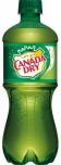 Canada Dry - Ginger Ale (16oz) 0
